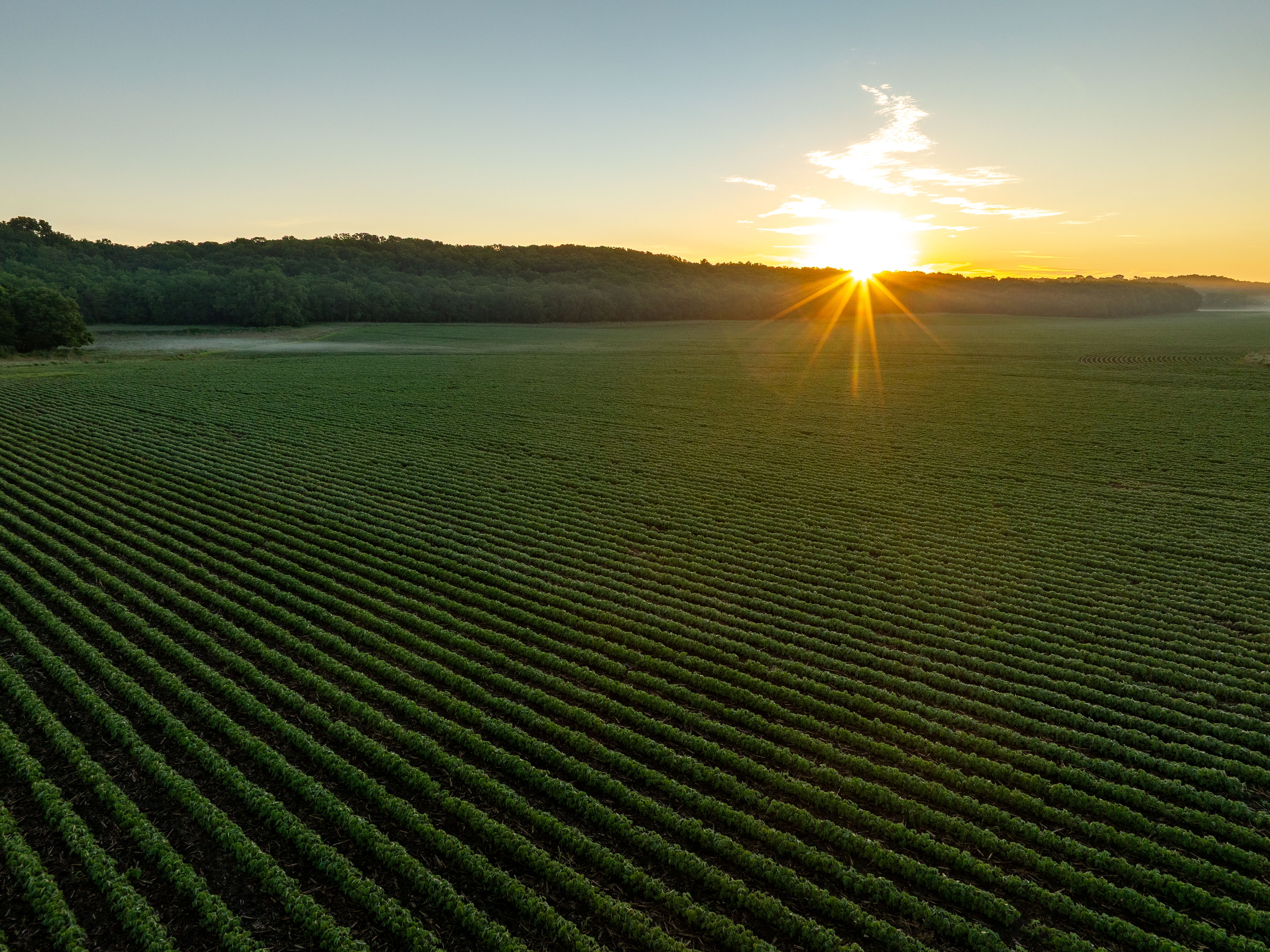 DJI_0007