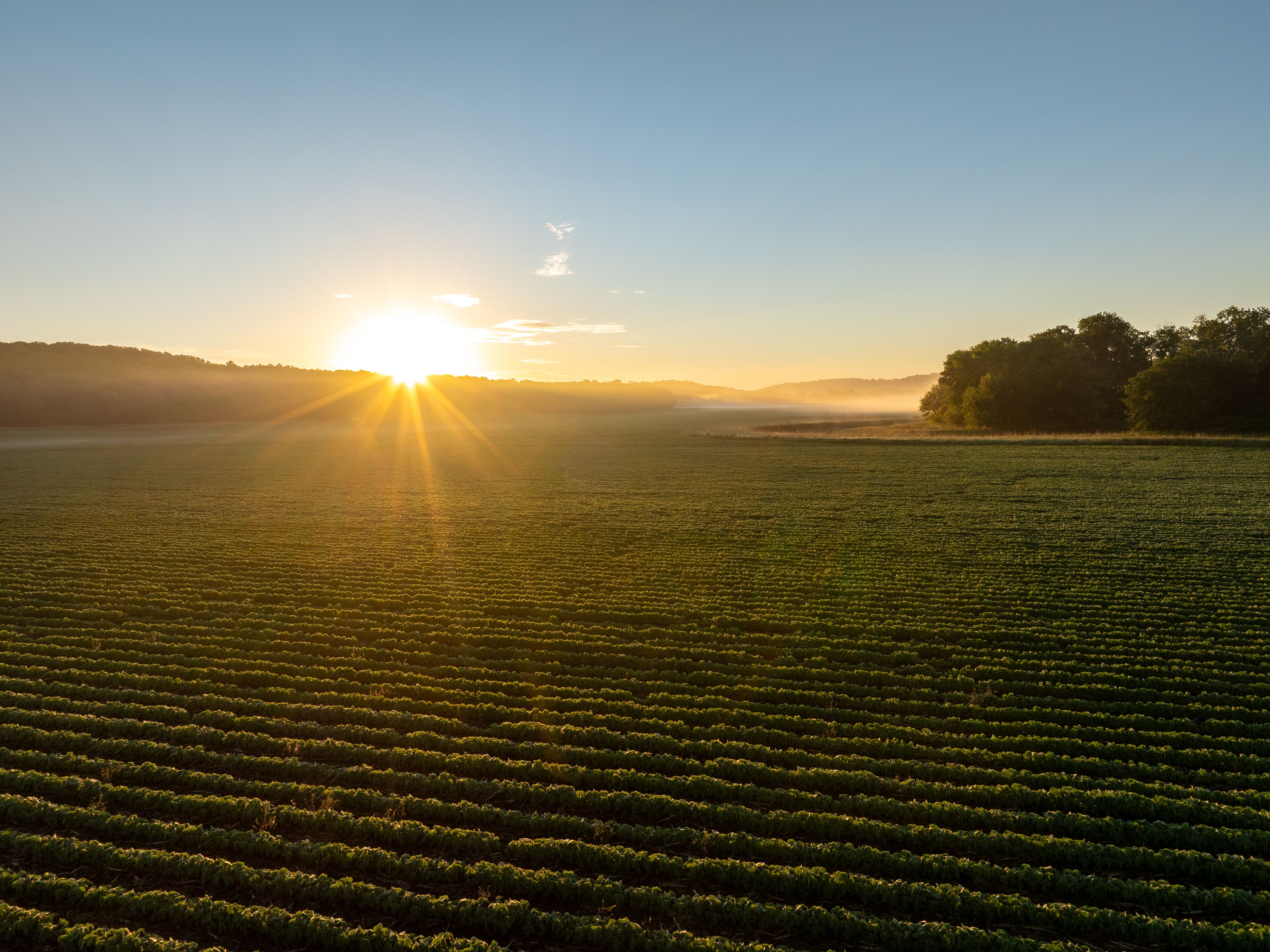 DJI_0018