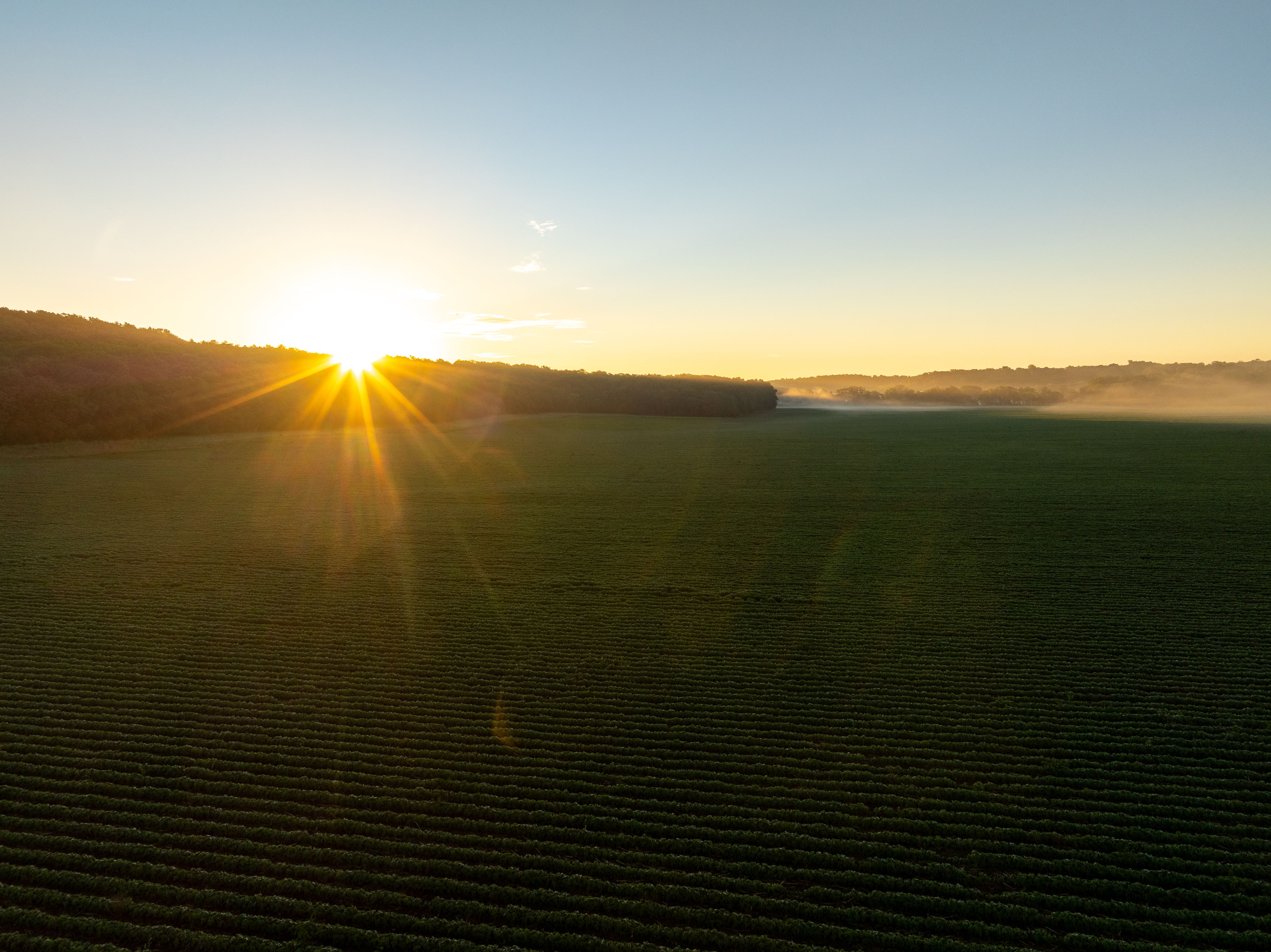 DJI_0022