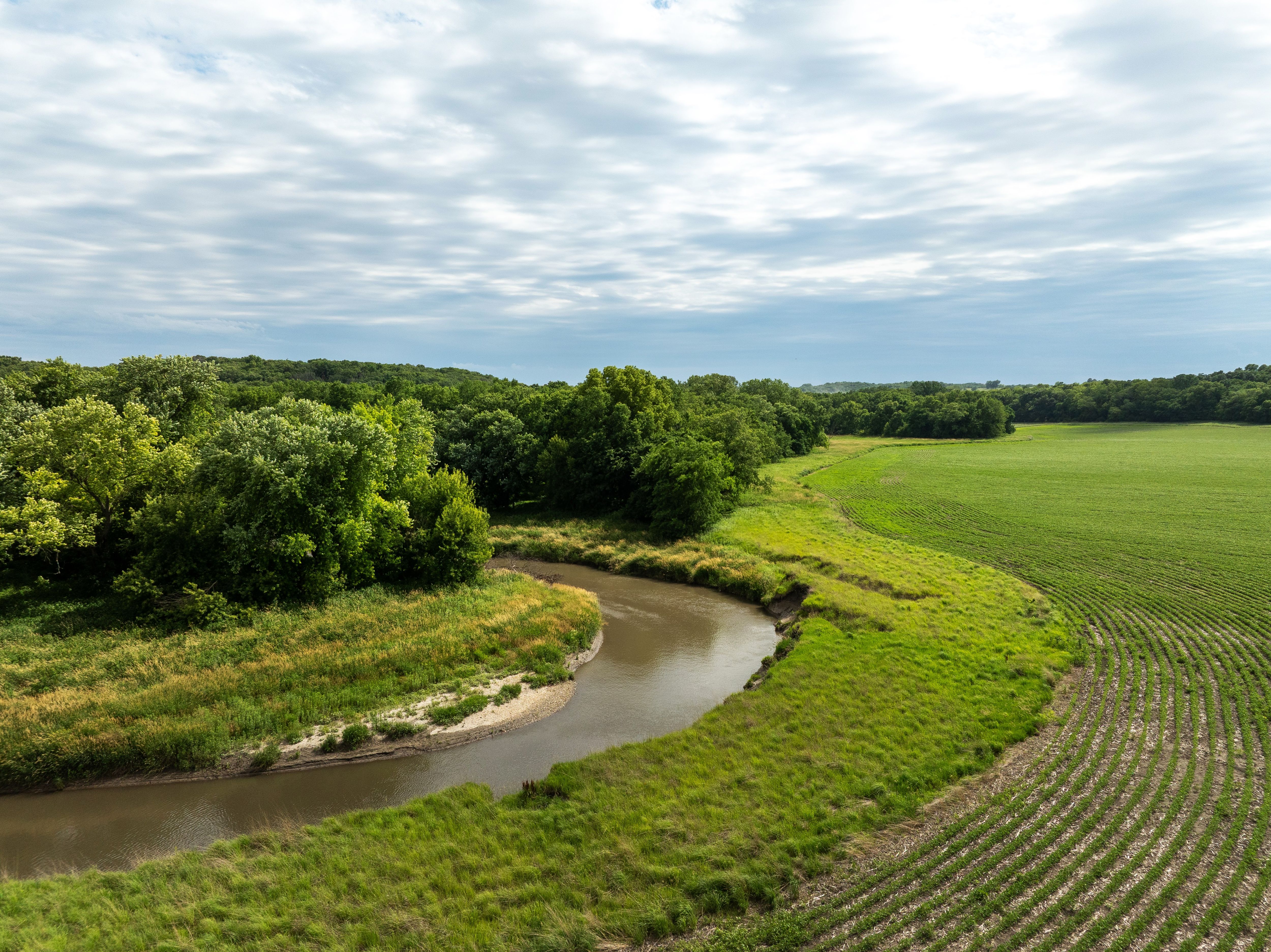 DJI_0903-1