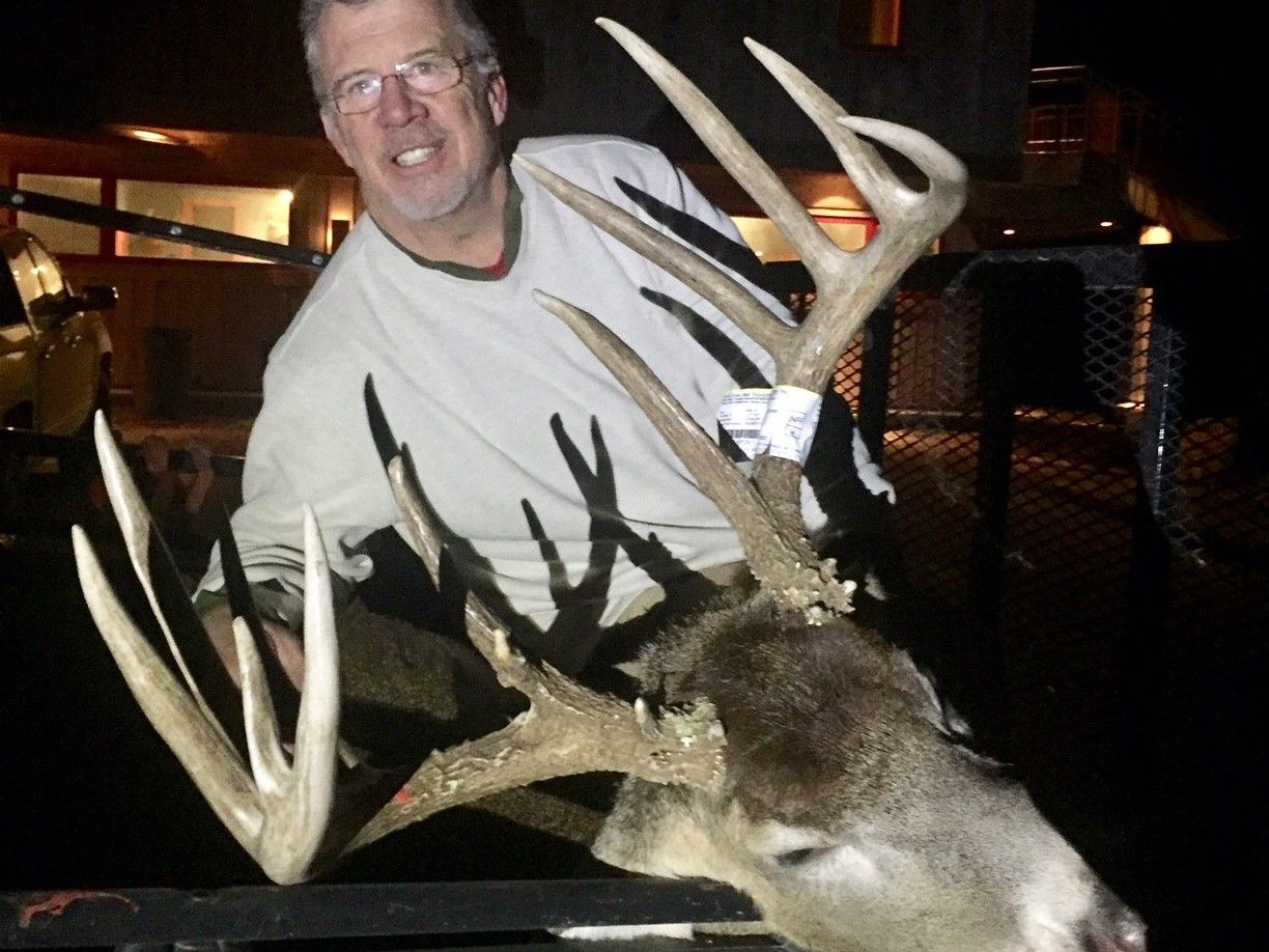 Deer