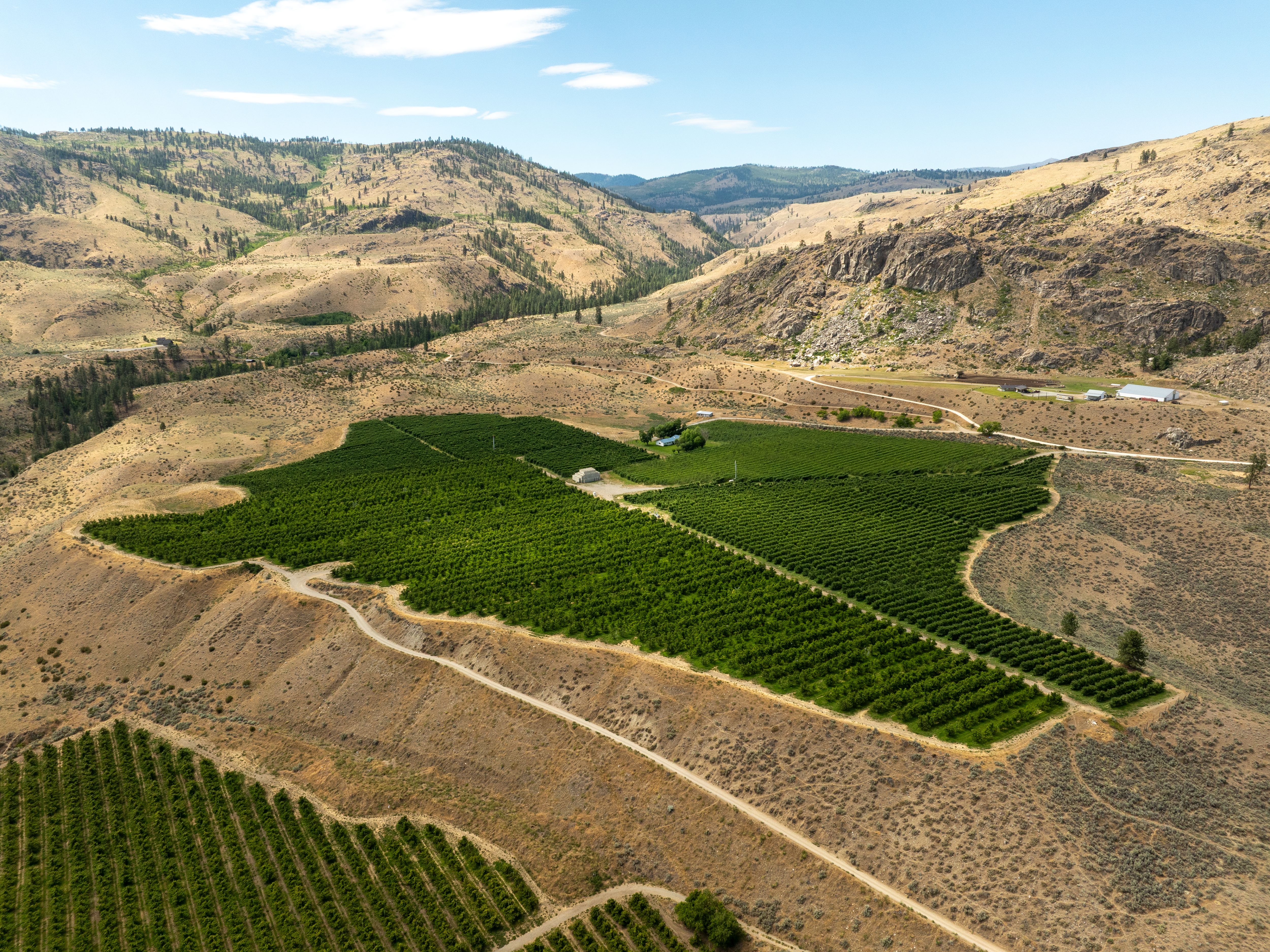 DJI_0020