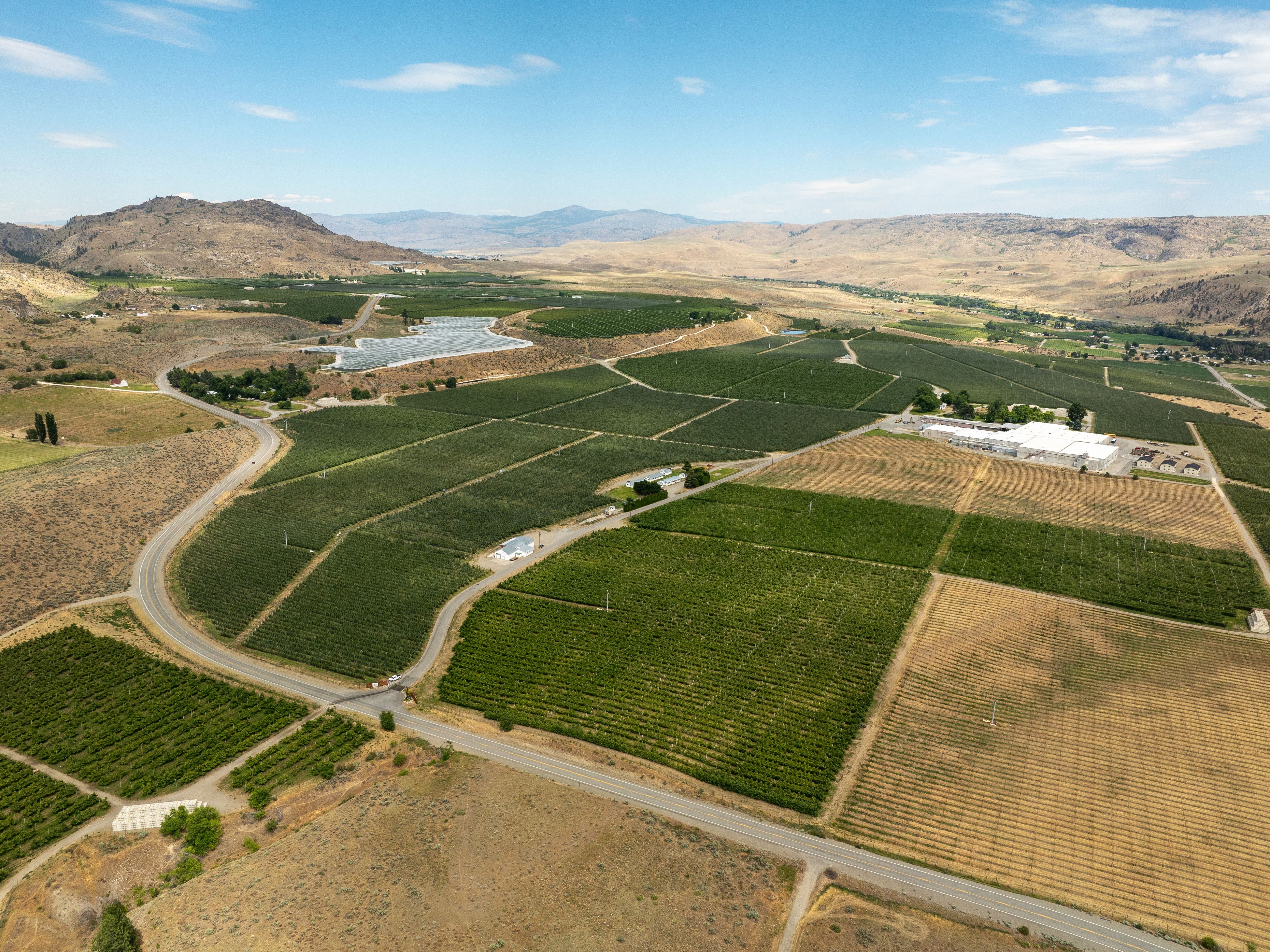 DJI_0025-1