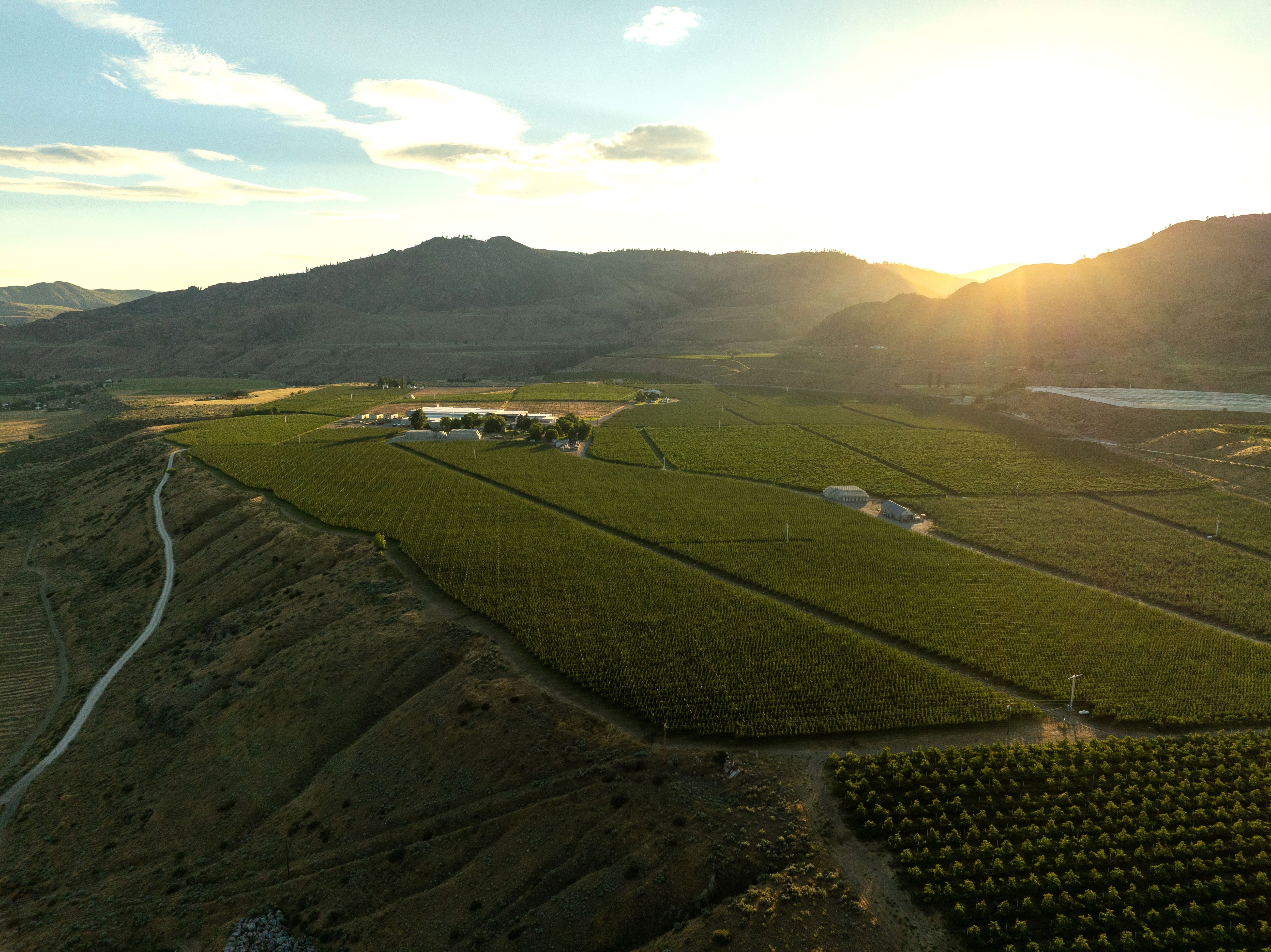 DJI_0177-1