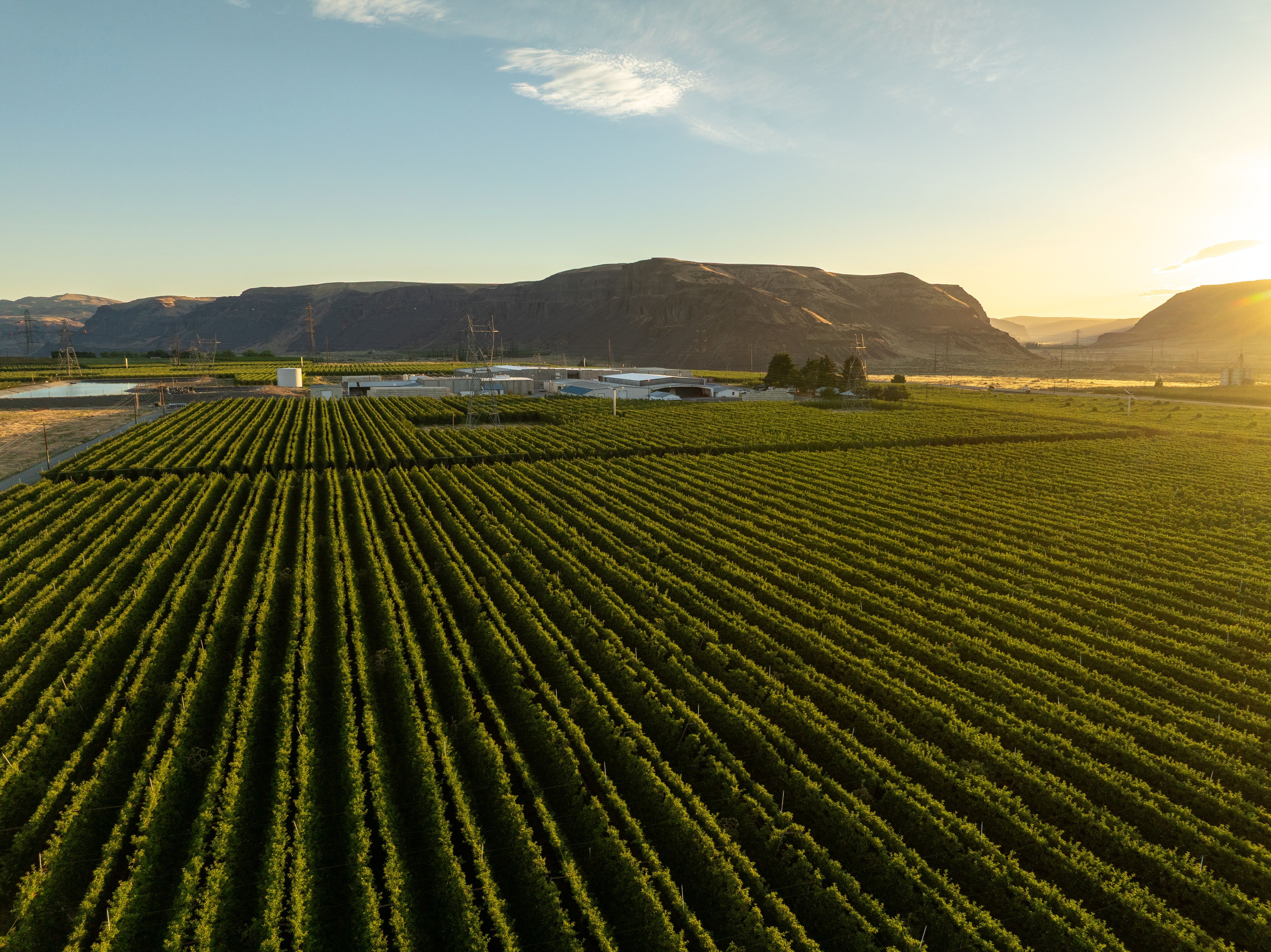 DJI_0298-1