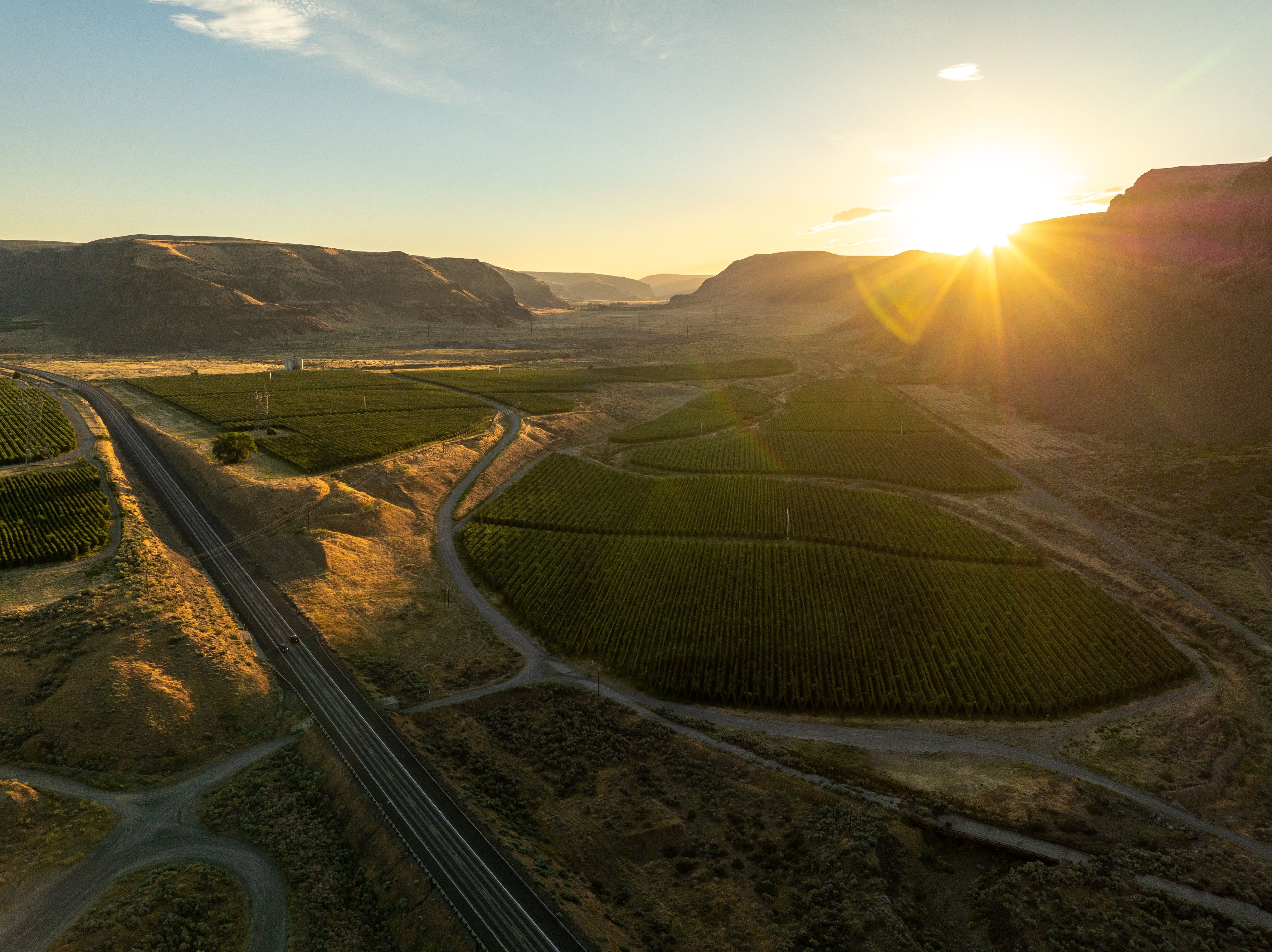 DJI_0302-1