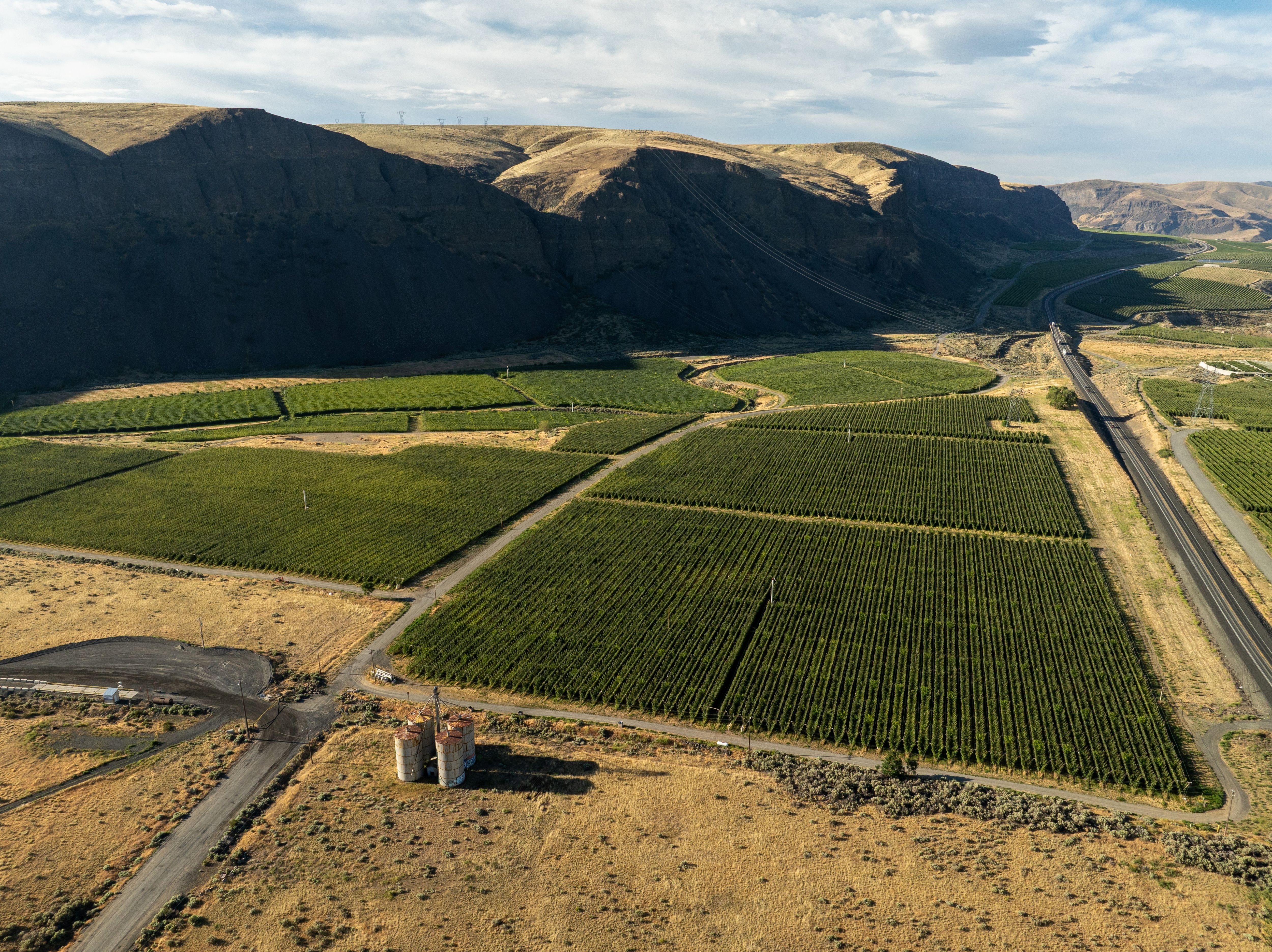 DJI_0351-1