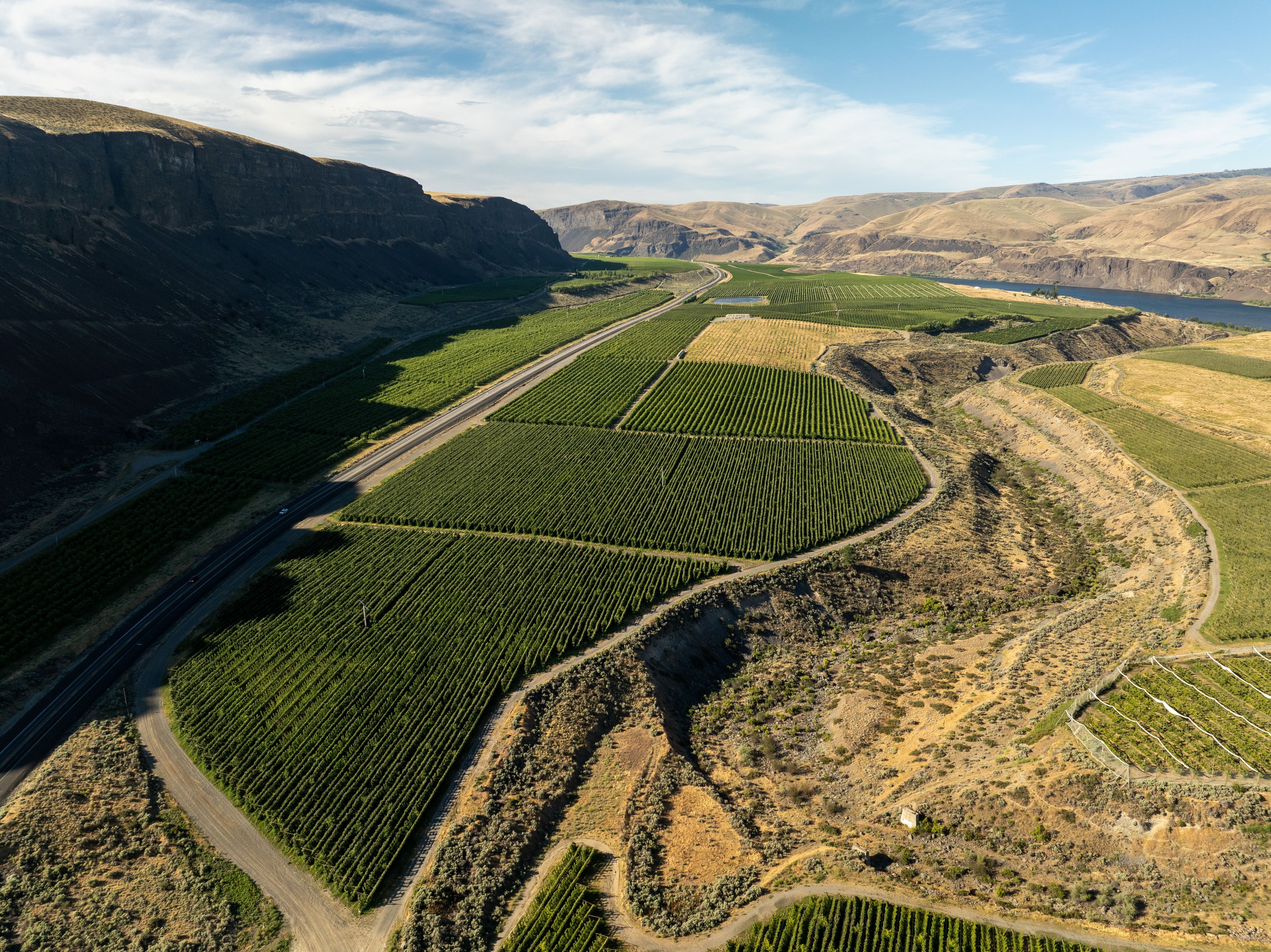 DJI_0426-1