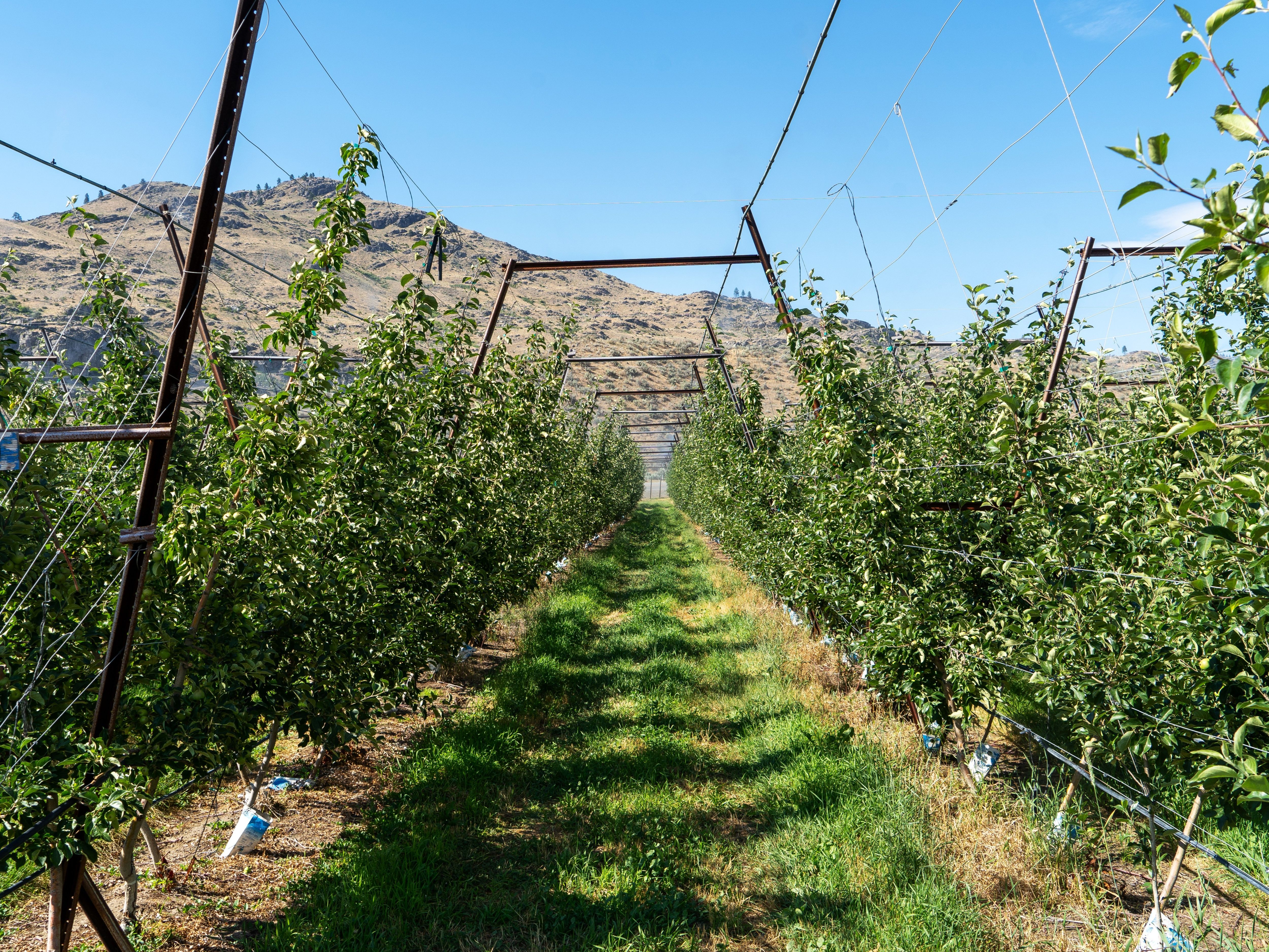 DSC07733-11