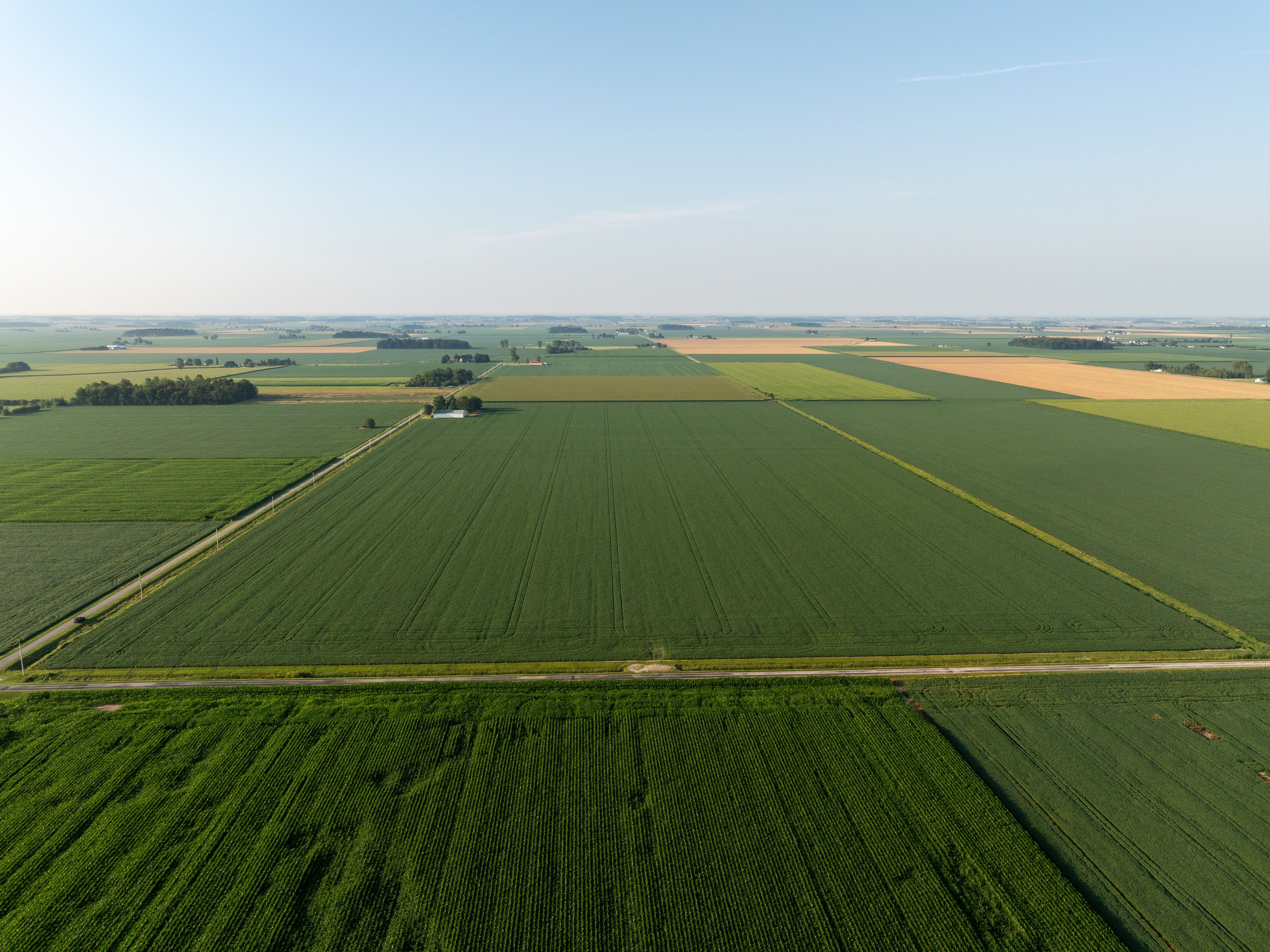 DJI_0122-1