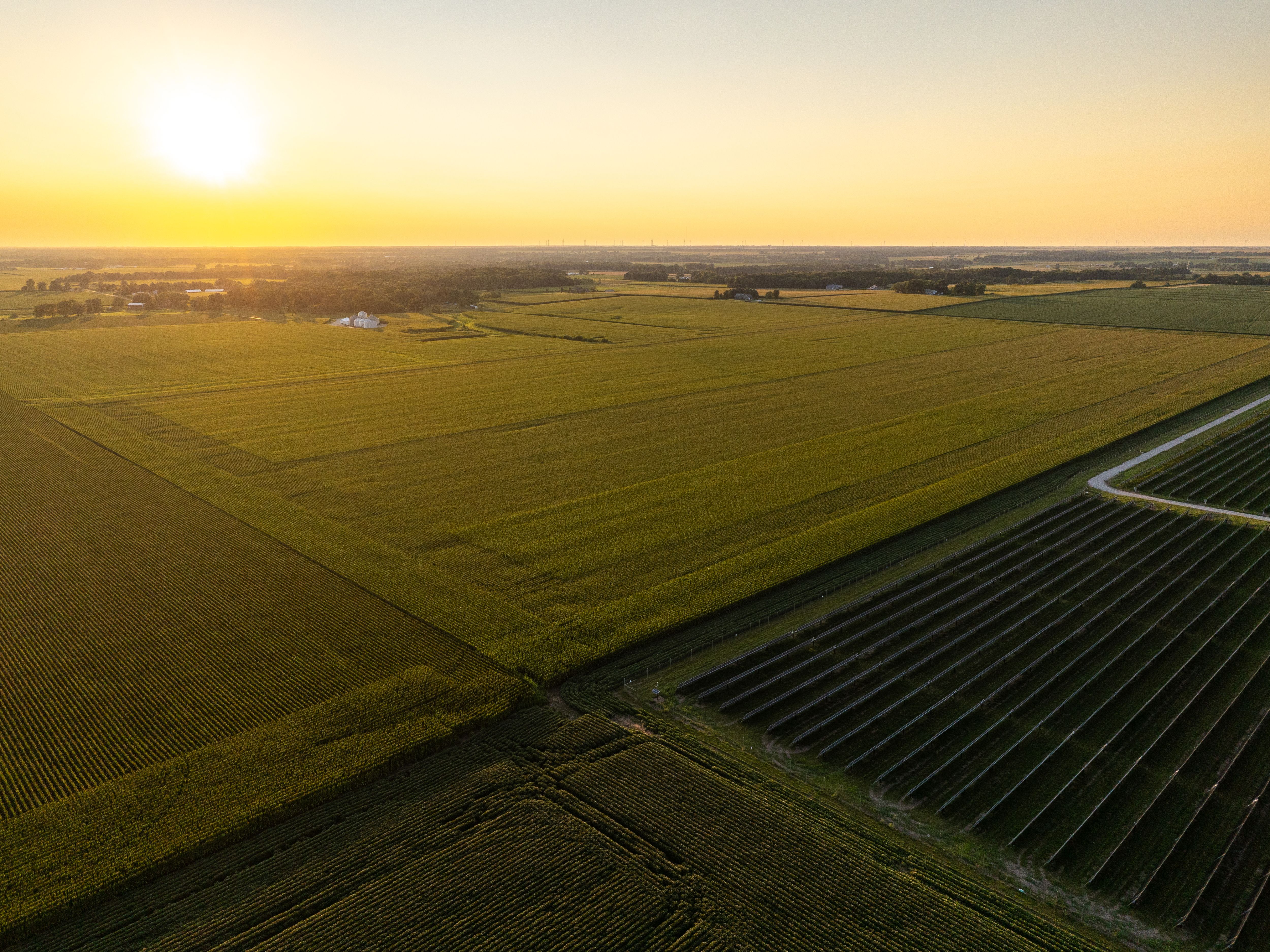 DJI_0974