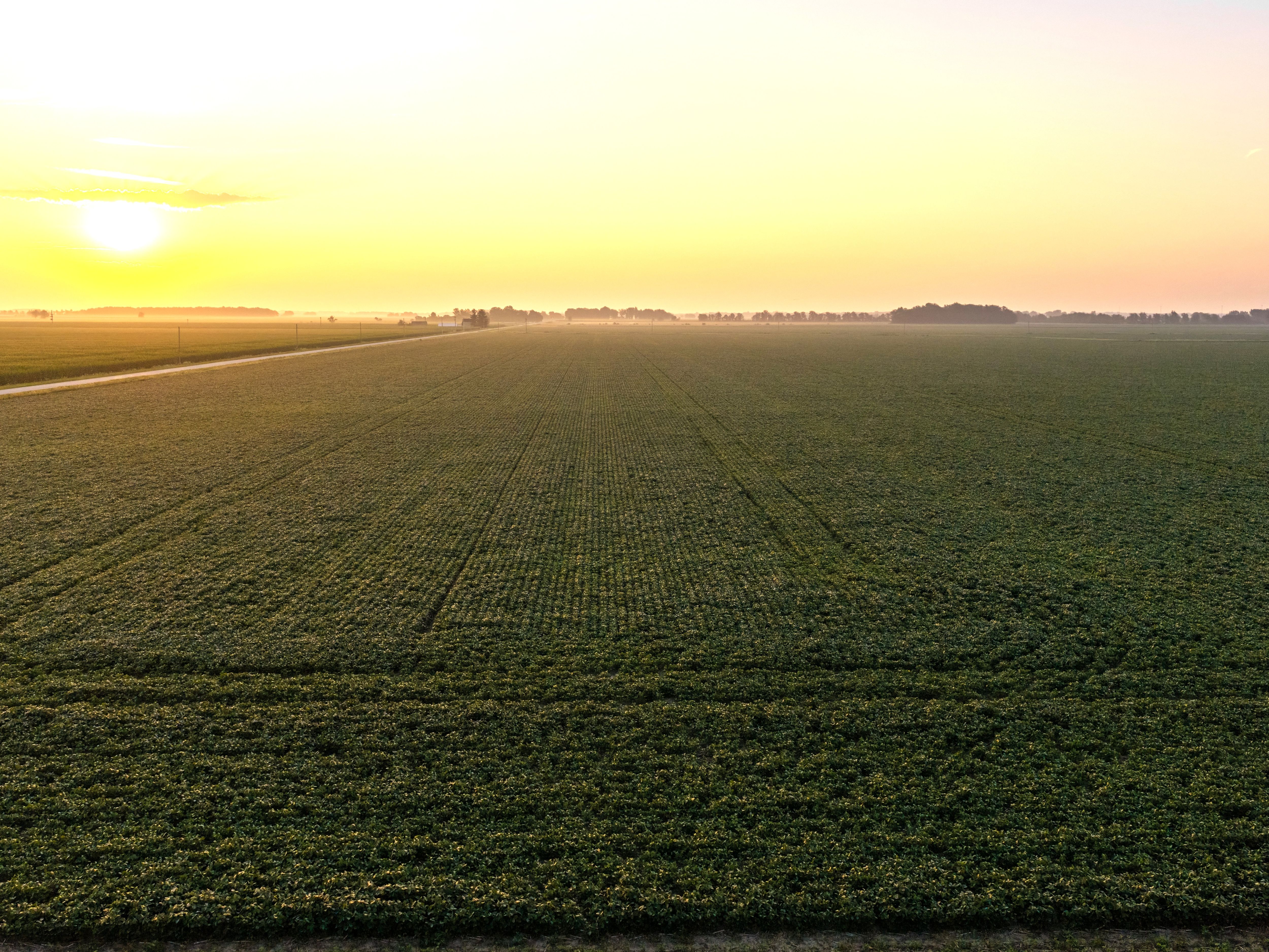 DJI_20260731055325_0469_D-1