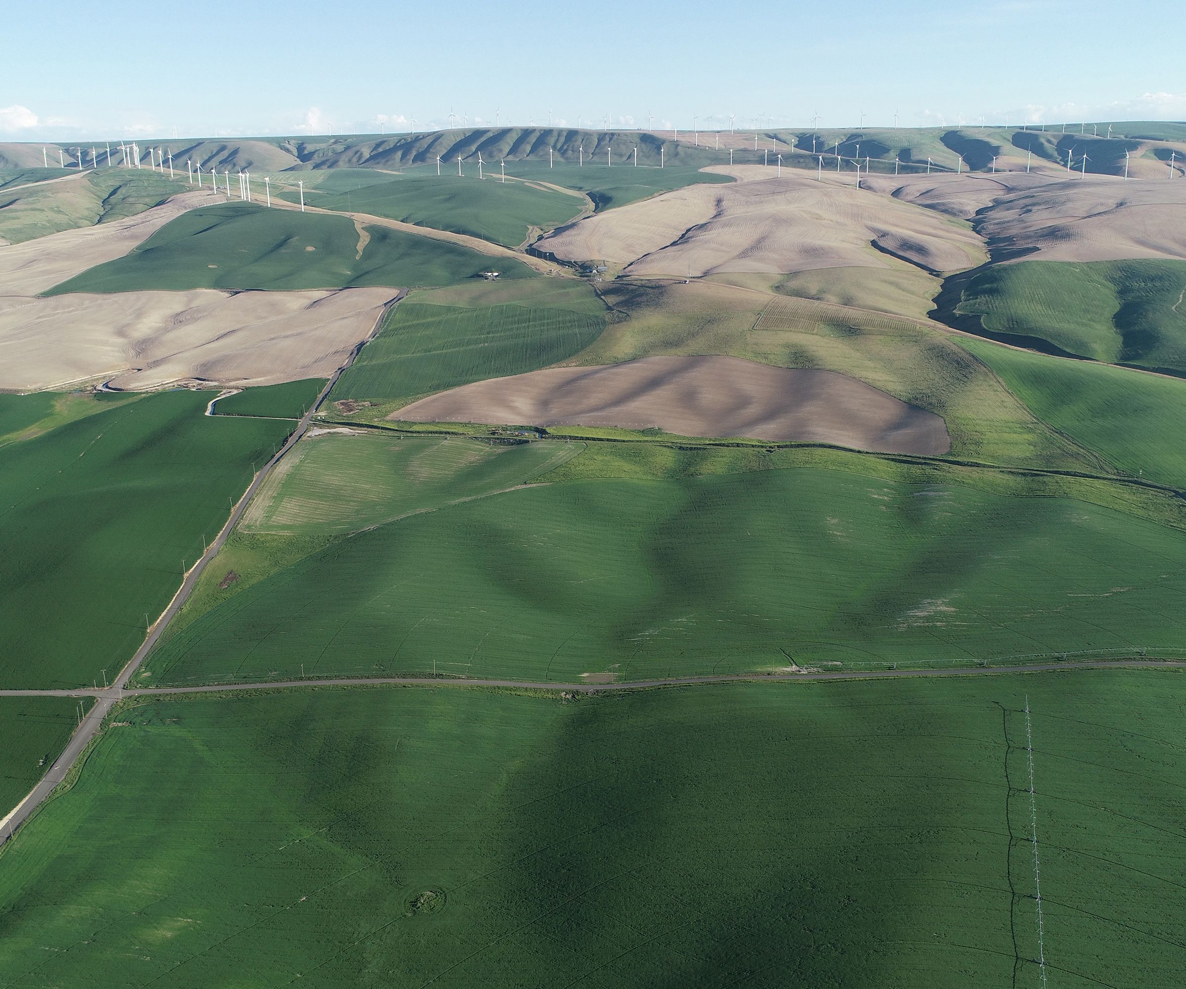 Carbondale Farms, Umatilla County, Oregon Farmland For Sale