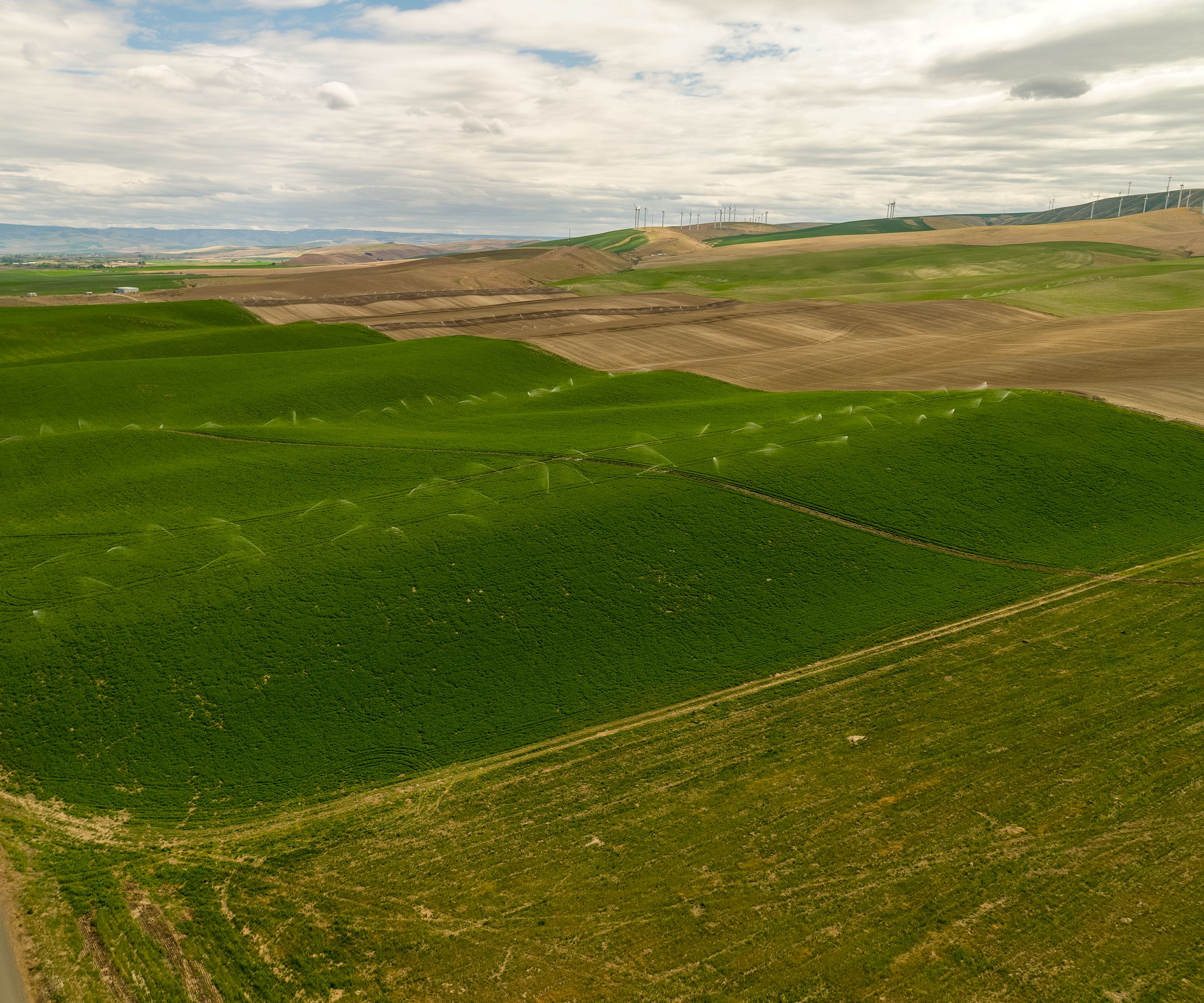 Carbondale Farms, Umatilla County, Oregon Farmland For Sale