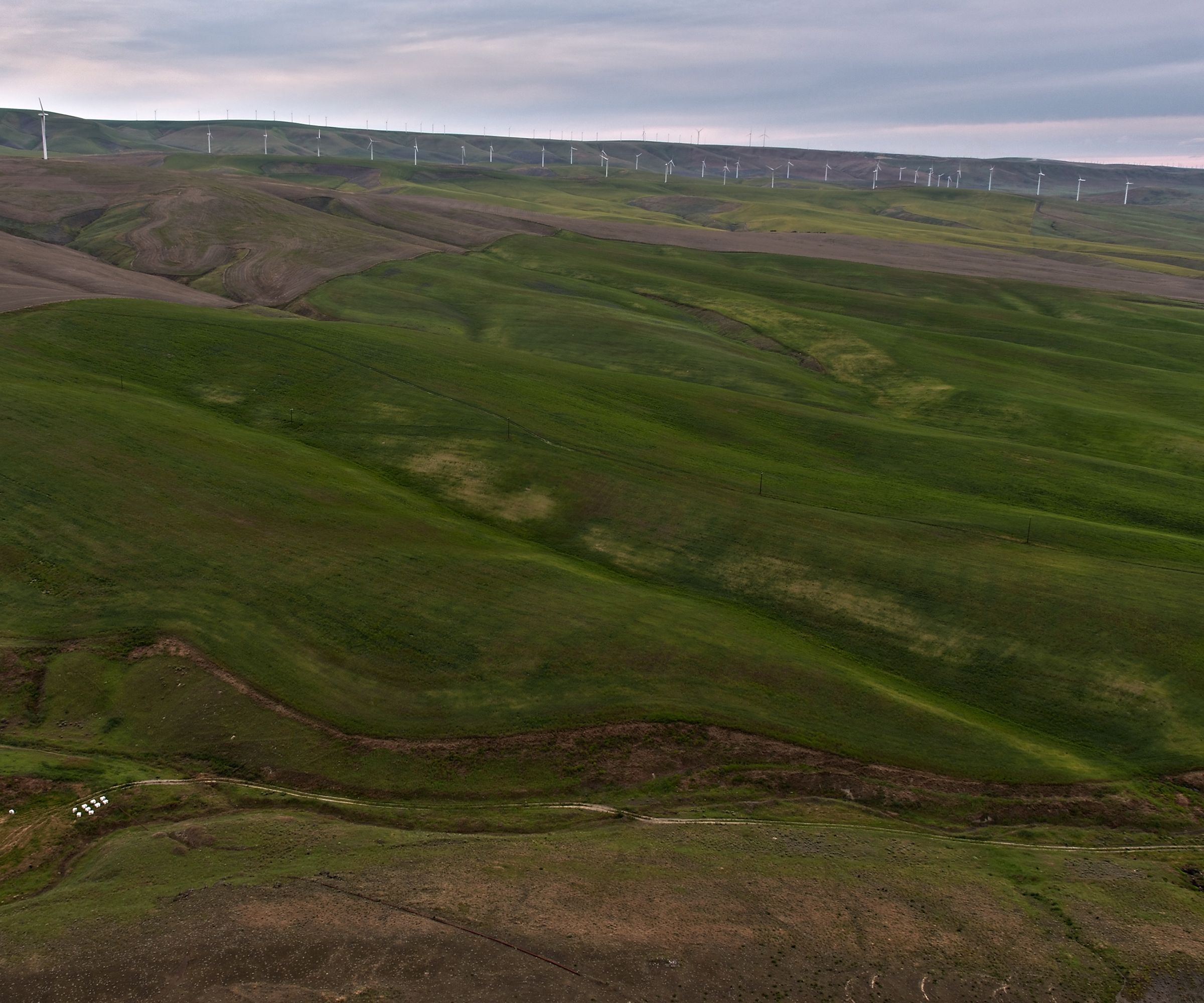 Carbondale Farms, Umatilla County, Oregon Farmland For Sale