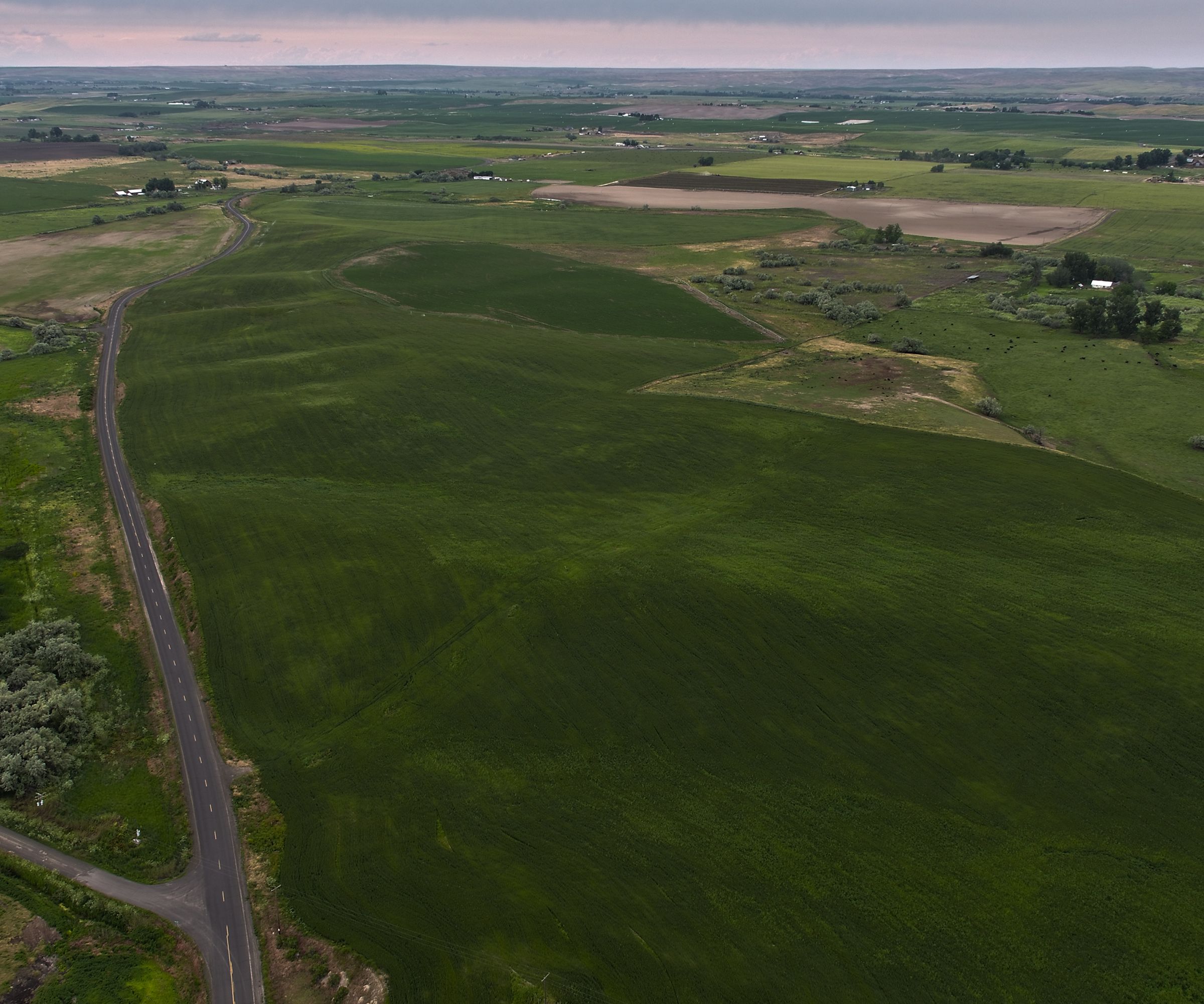Carbondale Farms, Umatilla County, Oregon Farmland For Sale