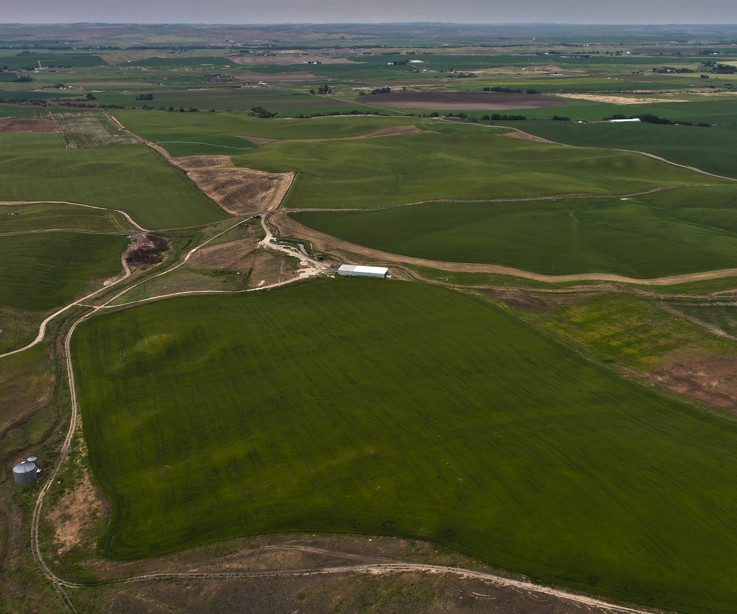 Carbondale Farms, Umatilla County, Oregon Farmland For Sale