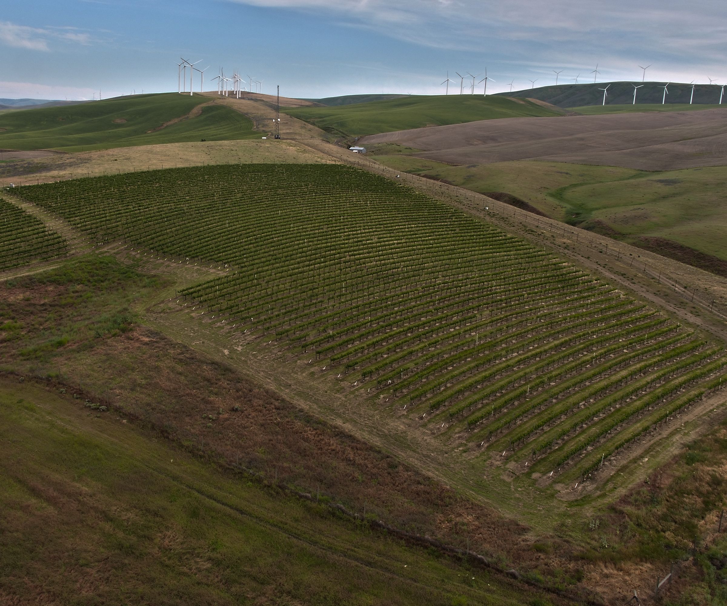 Carbondale Farms, Umatilla County, Oregon Farmland For Sale