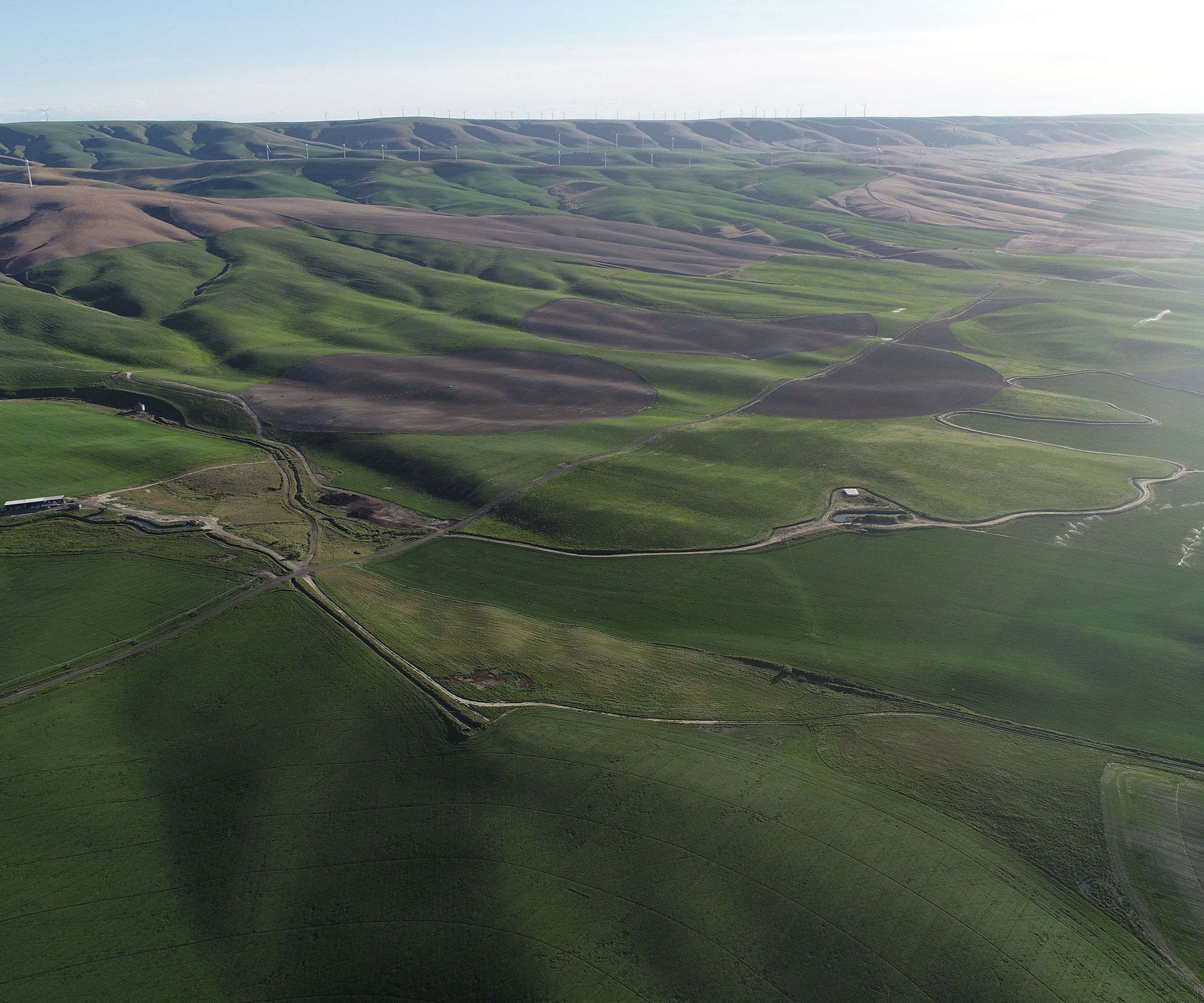 Carbondale Farms, Umatilla County, Oregon Farmland For Sale