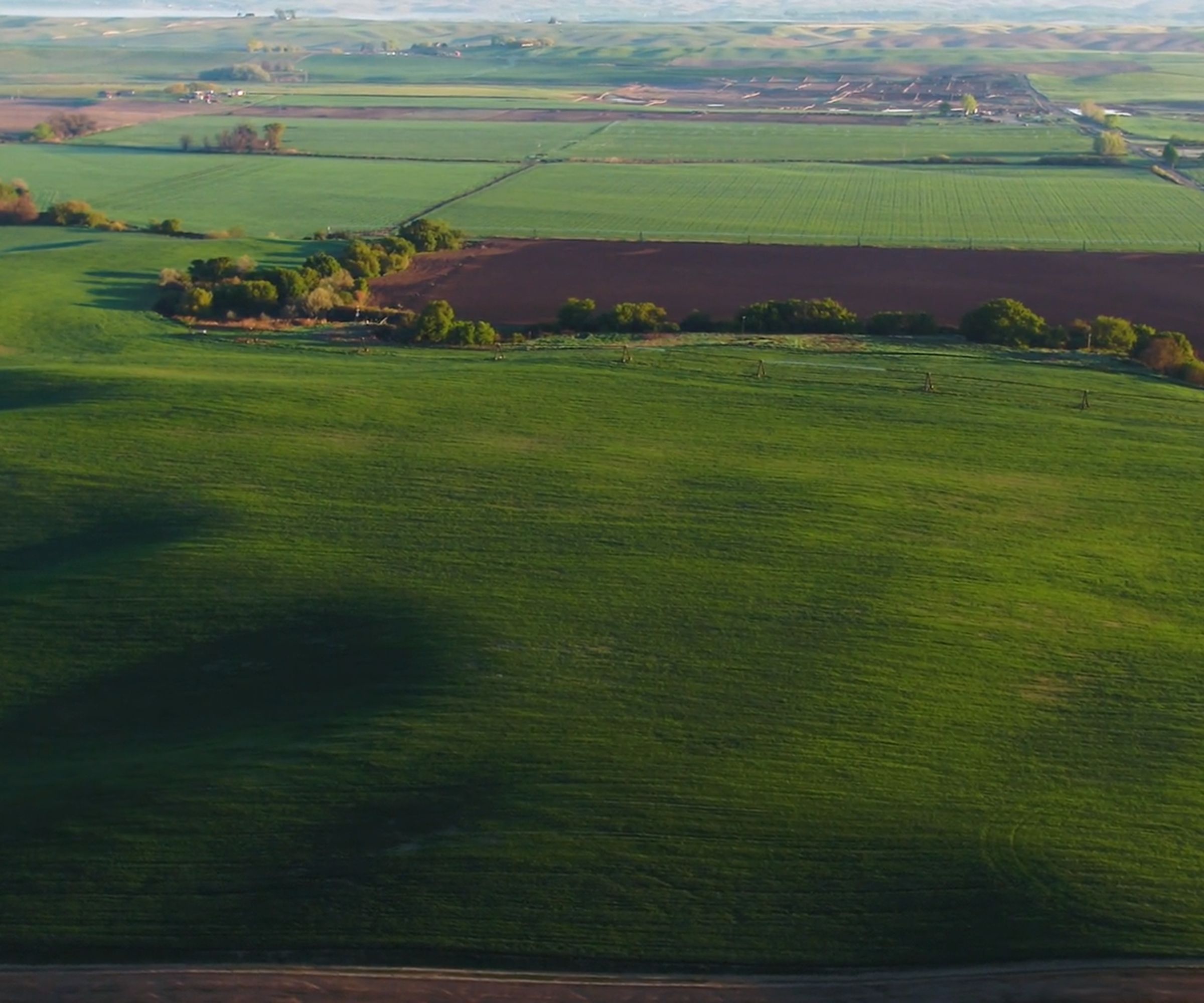 Carbondale Farms, Umatilla County, Oregon Farmland For Sale