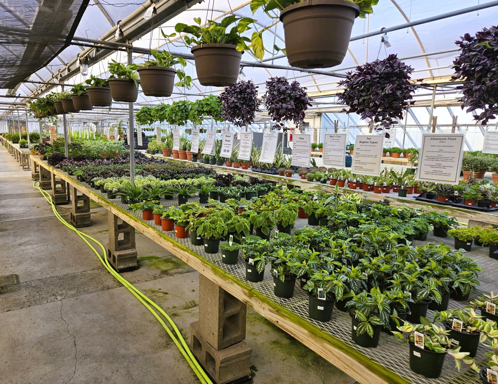 Story County, Iowa Commercial Greenhouses 1