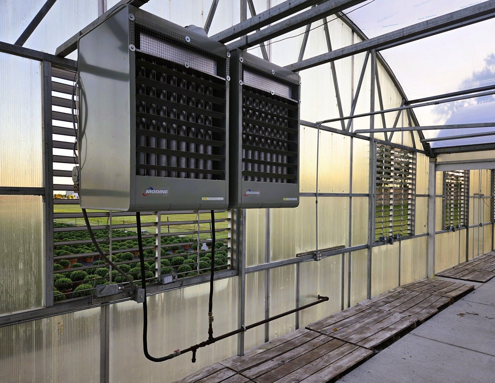 Story County, Iowa Commercial Greenhouses 10