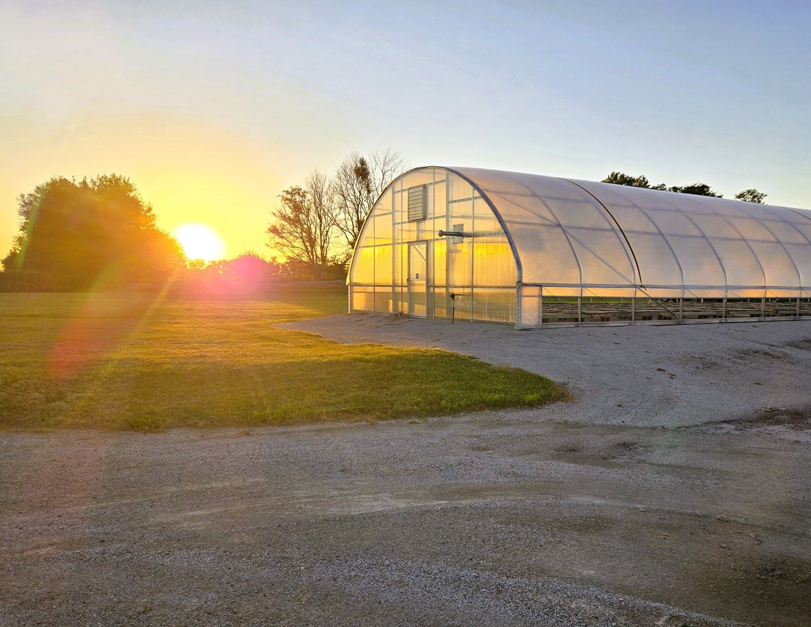 Story County, Iowa Commercial Greenhouses 14