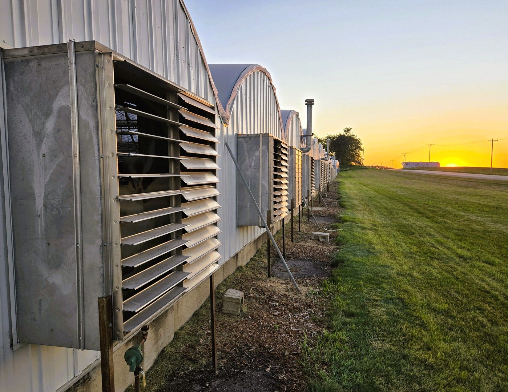 Story County, Iowa Commercial Greenhouses 20