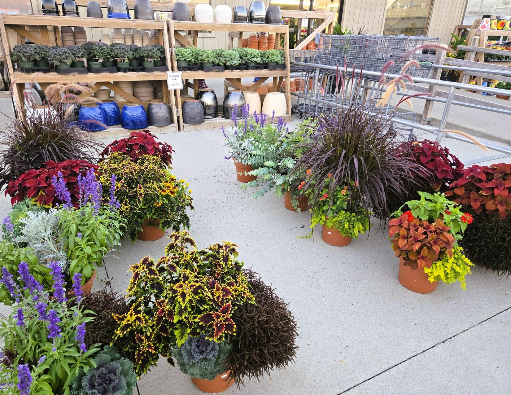 Story County, Iowa Commercial Greenhouses 23