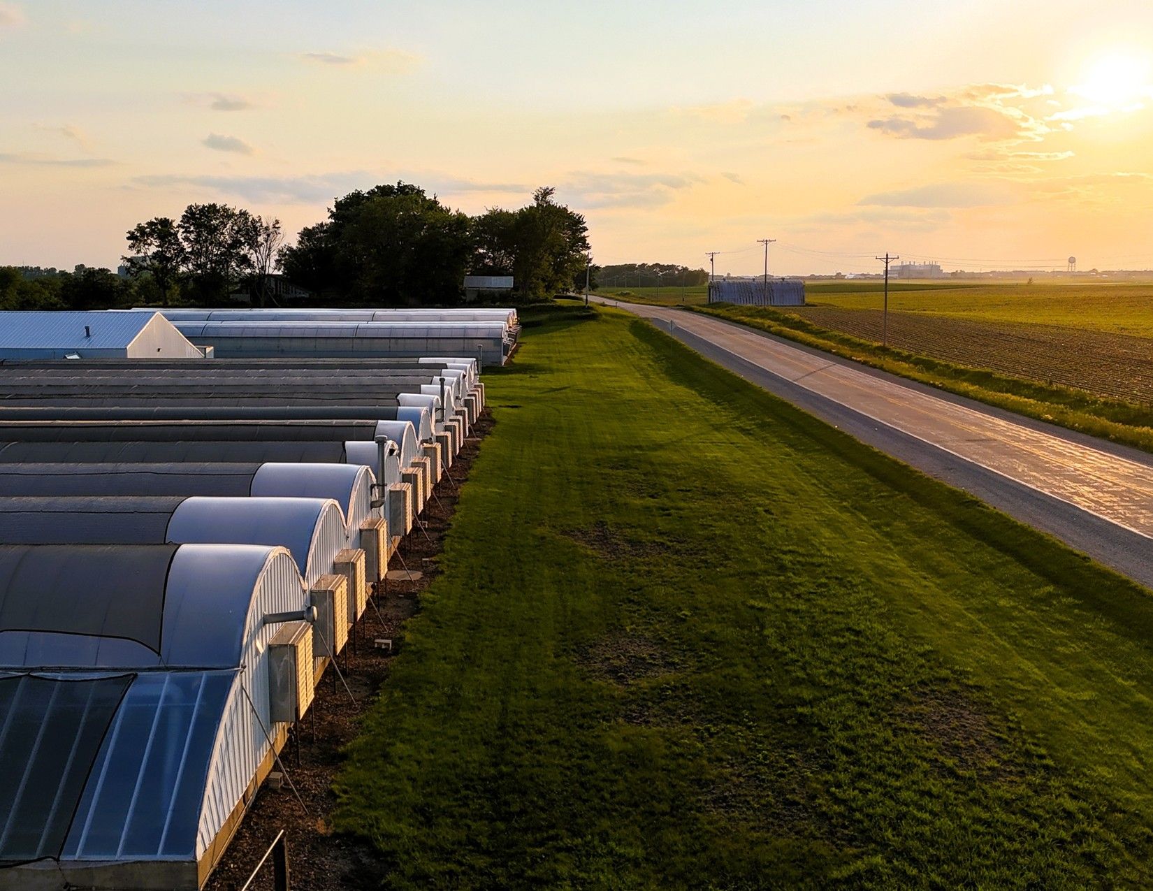 Story County, Iowa Commercial Greenhouses 32